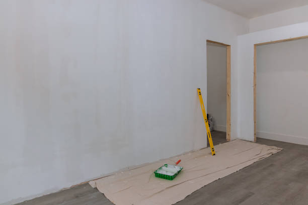 Professional Drywall & Painting Services in Mosheim, TN